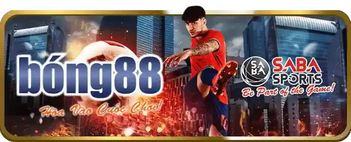 Đá gà trực tuyến 6ffvip